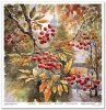 Papeles Scrapbooking SLS-069 Autumn Love Story